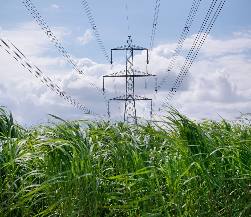 Electricity infrastructure